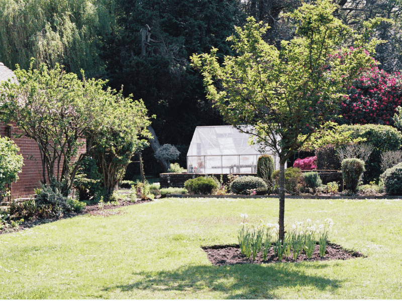 Cottage garden design of tranquil garden